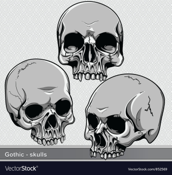 Vintage skulls set vector image Vintage skulls set vector image
