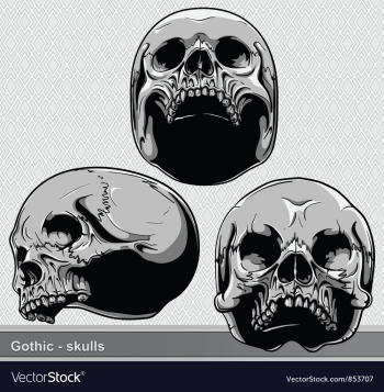 Vintage skulls set vector image Vintage skulls set vector image