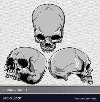 Vintage skulls set vector image Vintage skulls set vector image