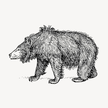 Vintage sloth bear, animal illustration | Free Vector Illustration - rawpixel Vintage sloth bear, animal illustration | Free Vector Illustration - rawpixel