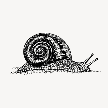 Vintage snail, animal illustration vector. | Free Vector Illustration - rawpixel Vintage snail, animal illustration vector. | Free Vector Illustration - rawpixel