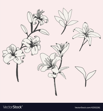 vintage styled lily flowers vintage styled lily flowers