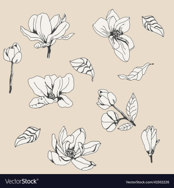 vintage styled magnolia flowers and leaves vintage styled magnolia flowers and leaves