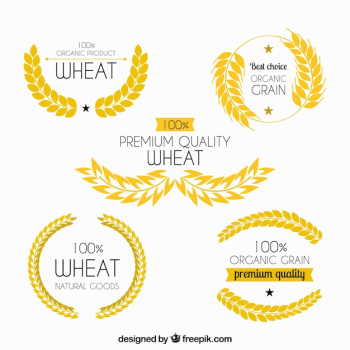 Vintage wheat logo collection Vintage wheat logo collection