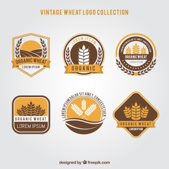 Vintage wheat logo collection Vintage wheat logo collection