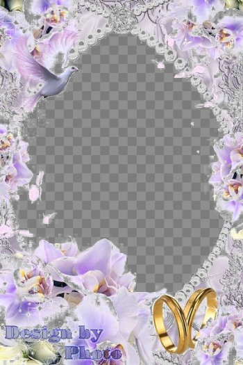 Violet Frame PNG Photo