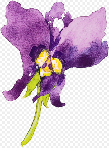 violet purple flower plant watercolor paint violet purple flower plant watercolor paint