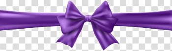 Violet Ribbon PNG High-Quality Image