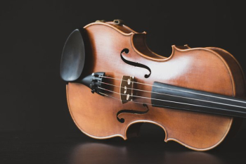 Violin Body On Black Violin Body On Black