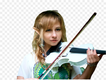 violin violinist violist fiddle string instrument