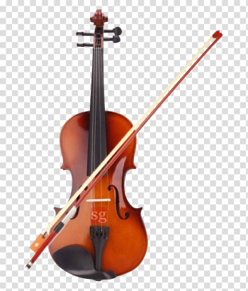 Violinist PNG Images - PngPix