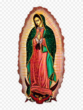 Virgen De Guadalupe Protegenos, HD Png Download - 509x1023 ...