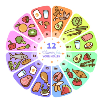Vitamin food infographic Free Vector Vitamin food infographic Free Vector