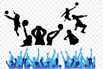 Volleyball Basketball - Volleyball Volleyball Basketball - Volleyball