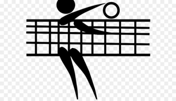 Volleyball Sport Ball game Coach - volleyball 