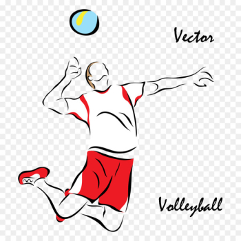 Volleyball Sport Euclidean vector Illustration - Vector volleyball players 
