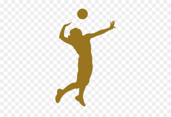 Volleyball Sport Silhouette - volei Volleyball Sport Silhouette - volei