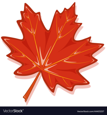 volumed autumn red color maple leaf volumed autumn red color maple leaf