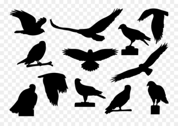 Vulture Fauna Font Silhouette Beak - Vulture Fauna Font Silhouette Beak -