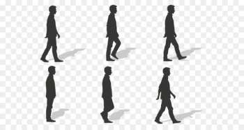 Walk cycle Walking Euclidean vector - Ms. silhouette vector walk 