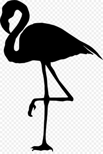 Wall decal Bumper sticker Flamingo - Wall decal Bumper sticker Flamingo -