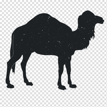 Wall decal Printing Printmaking, Animal Silhouettes transparent background PNG clipart