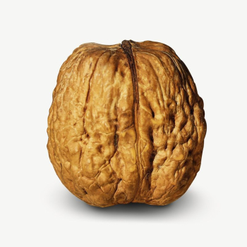 Walnut food collage element psd | Free PSD - rawpixel Walnut food collage element psd | Free PSD - rawpixel