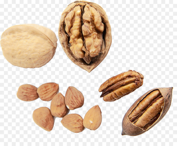 walnut nut nuts & seeds food almond walnut nut nuts & seeds food almond