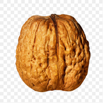 Walnut png food sticker, transparent | Free PNG - rawpixel Walnut png food sticker, transparent | Free PNG - rawpixel