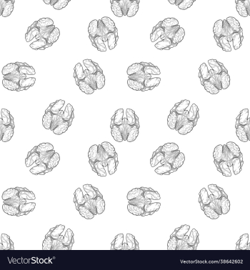 walnut seamless background walnut seamless background