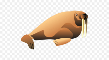Walrus, Drawing, Download, Vertebrate PNG Walrus, Drawing, Download, Vertebrate PNG
