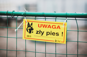 Warning! Bad dog! Warning! Bad dog!