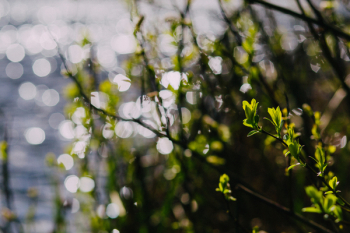 Water bokeh Water bokeh
