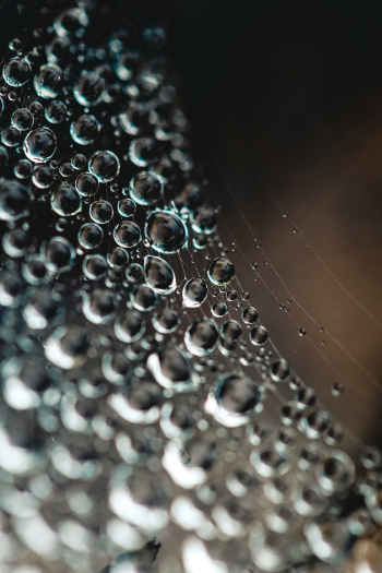 Water Bubbles Water Bubbles