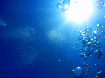 Water Bubbles Water Bubbles