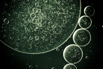 Water Bubbles Illustration Water Bubbles Illustration