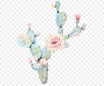 Water color flower cactus plant Water color flower cactus plant