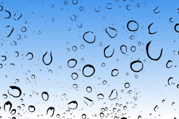 Water Dew Close-up Photo Water Dew Close-up Photo