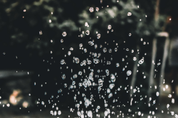Water Dew Photography Water Dew Photography