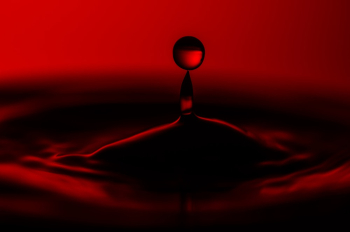 Water Drop Water Drop