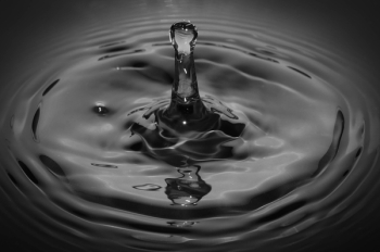 Water Drop Water Drop
