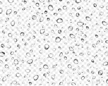 Water Drop Water Drop