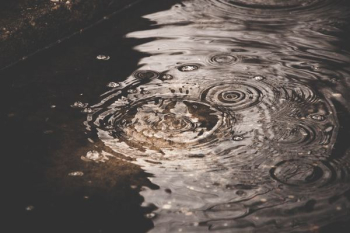 water droplets closeup photography water droplets closeup photography