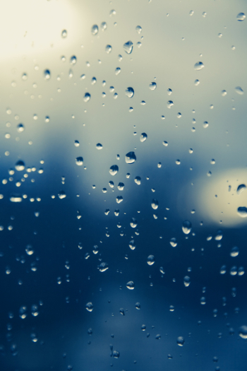 Water Drops Water Drops