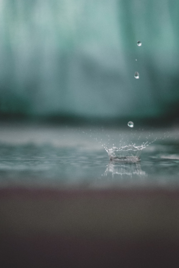Water Drops Water Drops