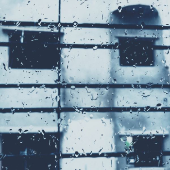 water drops on glass window water drops on glass window