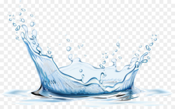 Water Filter Coconut water Drop Drinking water - water 