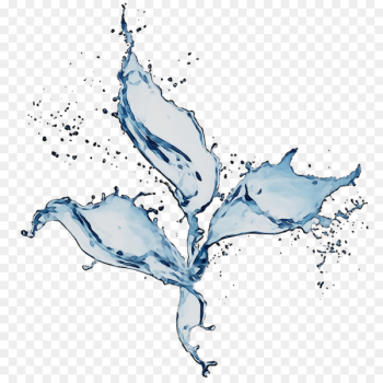 Water Graphics Illustration Whales & Dolphins - Water Graphics Illustration Whales & Dolphins -