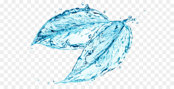 Water ionizer Stock photography Drop Flower - water Water ionizer Stock photography Drop Flower - water