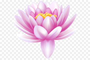 Water lilies Lily Flower Clip art - Water Lily Transparent PNG Clip Art Image 